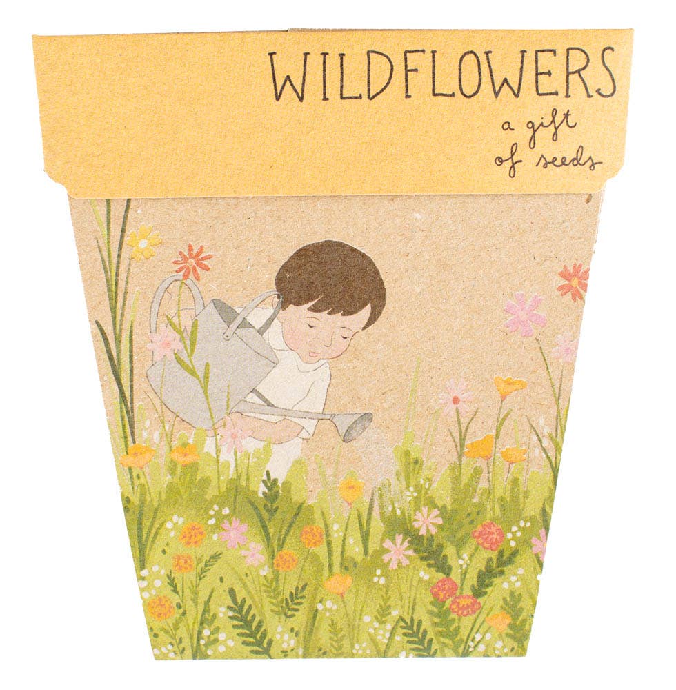 Wildflowers Gift of Seeds (Australia Only)