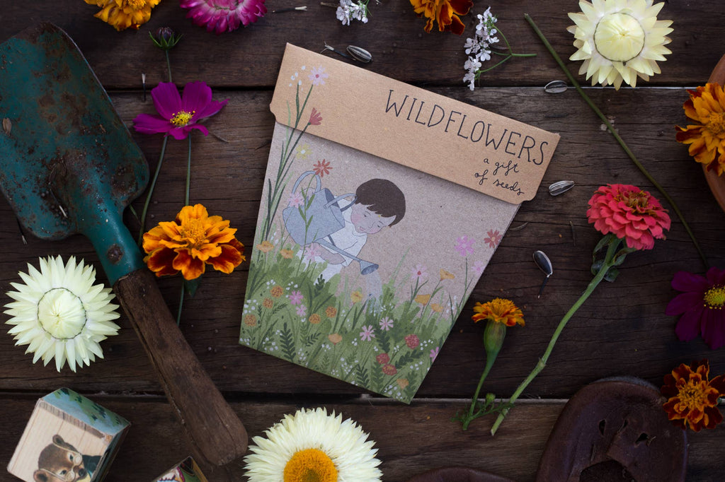 Wildflowers Gift of Seeds (Australia Only)