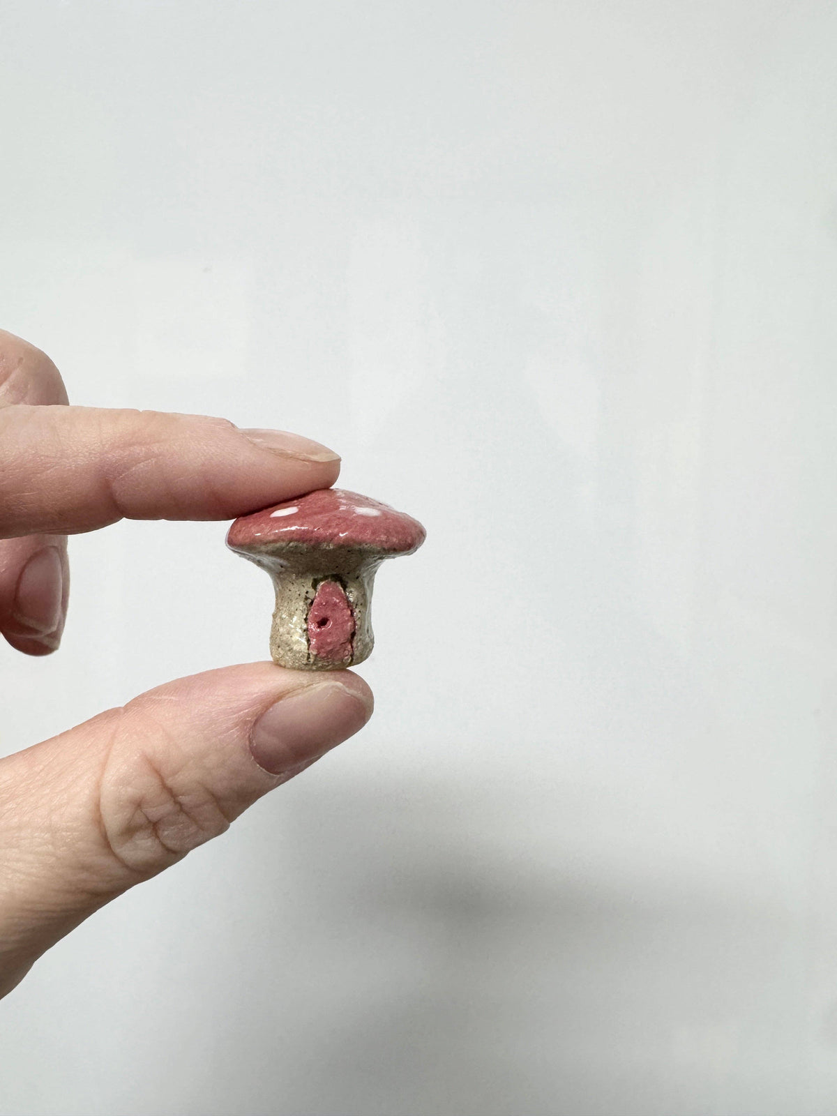 Ceramics - Mini Mushrooms – Handmade Whimsical Decor
