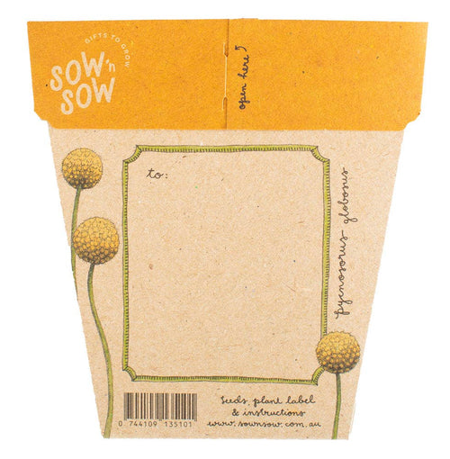 Billy Buttons Gift of Seeds (Australia Only)