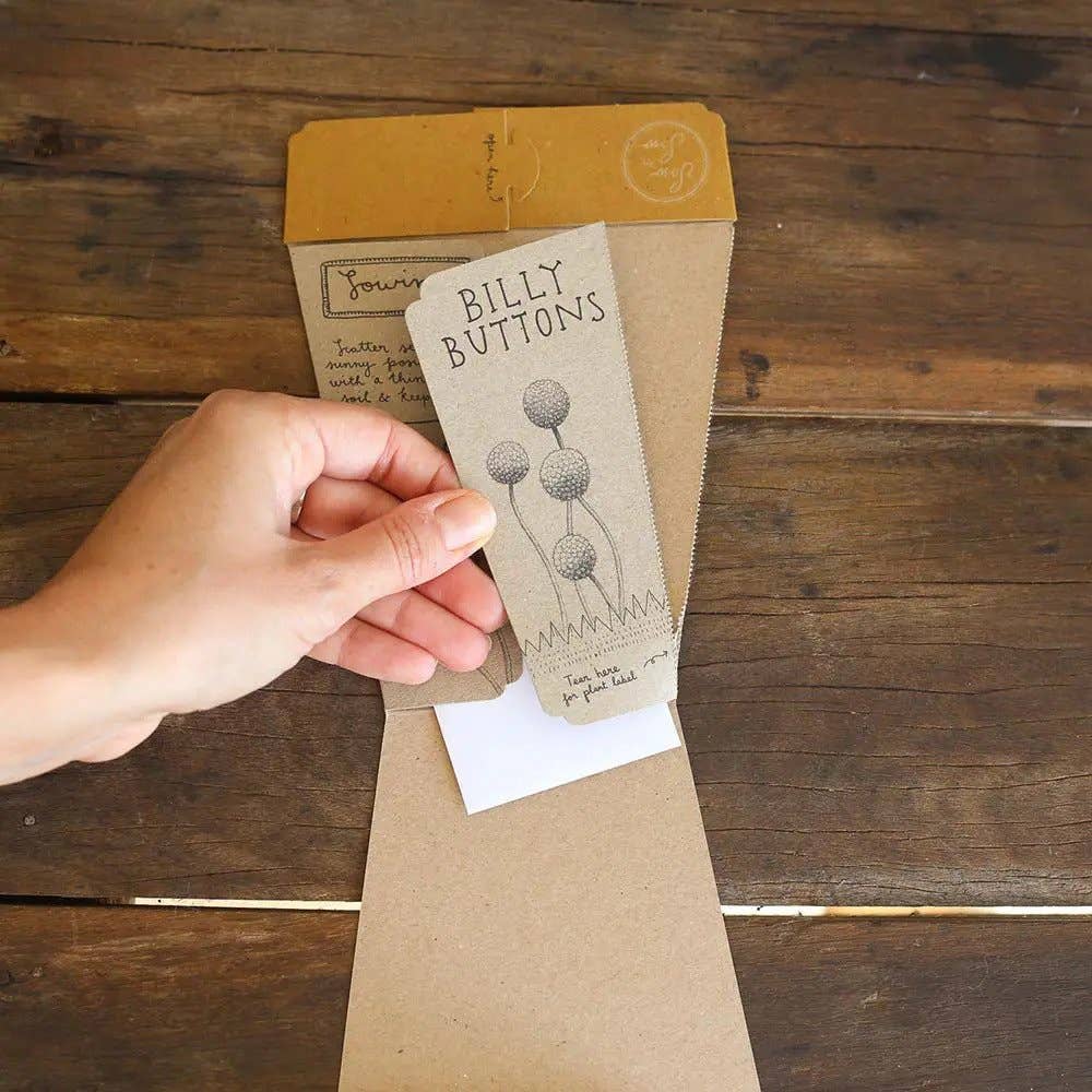 Billy Buttons Gift of Seeds (Australia Only)