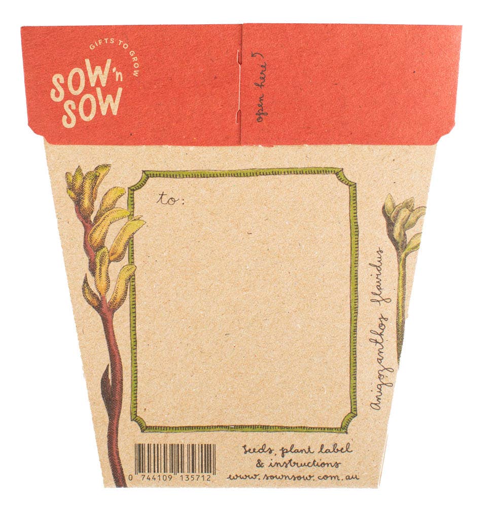 Kangaroo Paw Gift of Seeds (Australia Only)