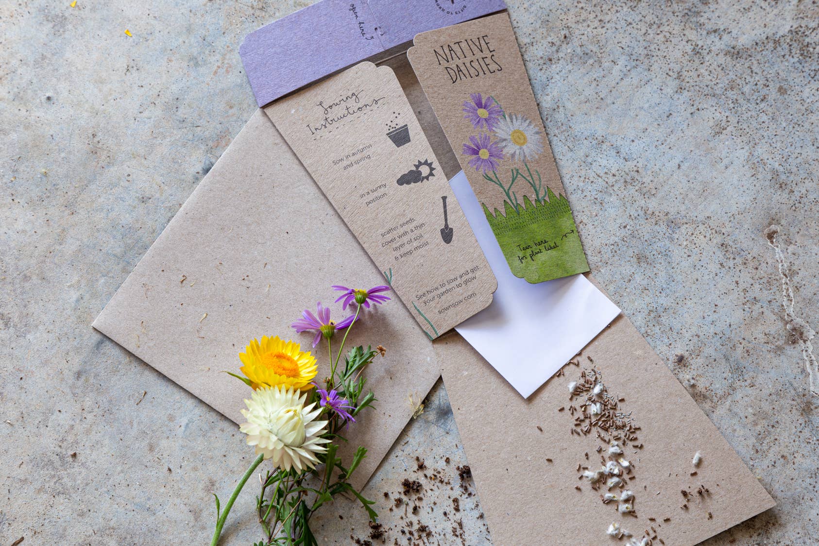 Native Daisies Gift of Seeds (Australia Only)