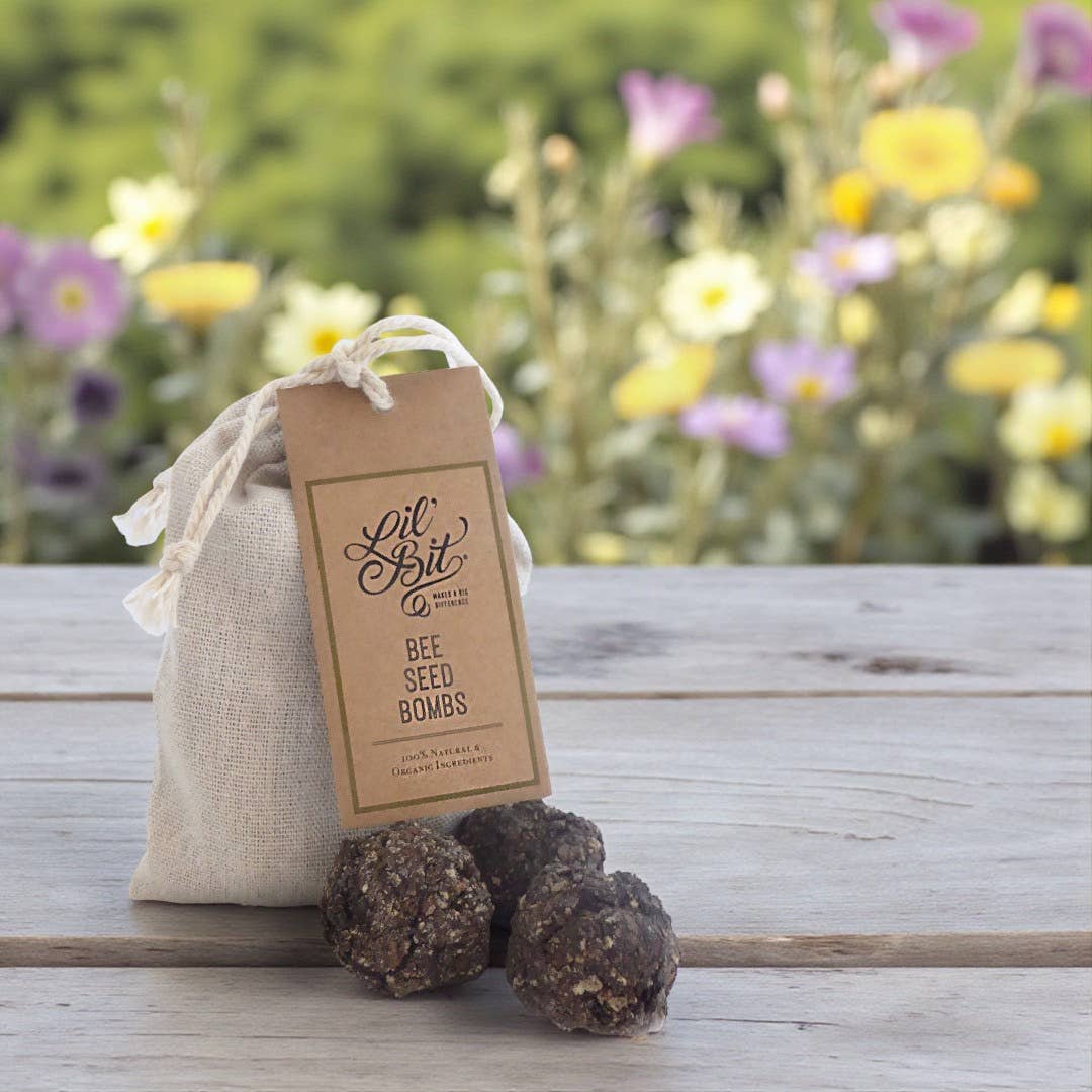 Bee & Beneficial Insect Seed Balls - 2 Sizes - Organic