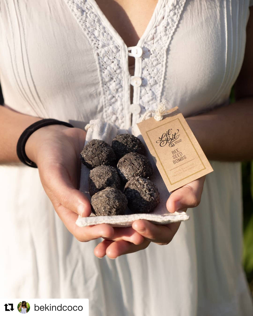 Bee & Beneficial Insect Seed Balls - 2 Sizes - Organic