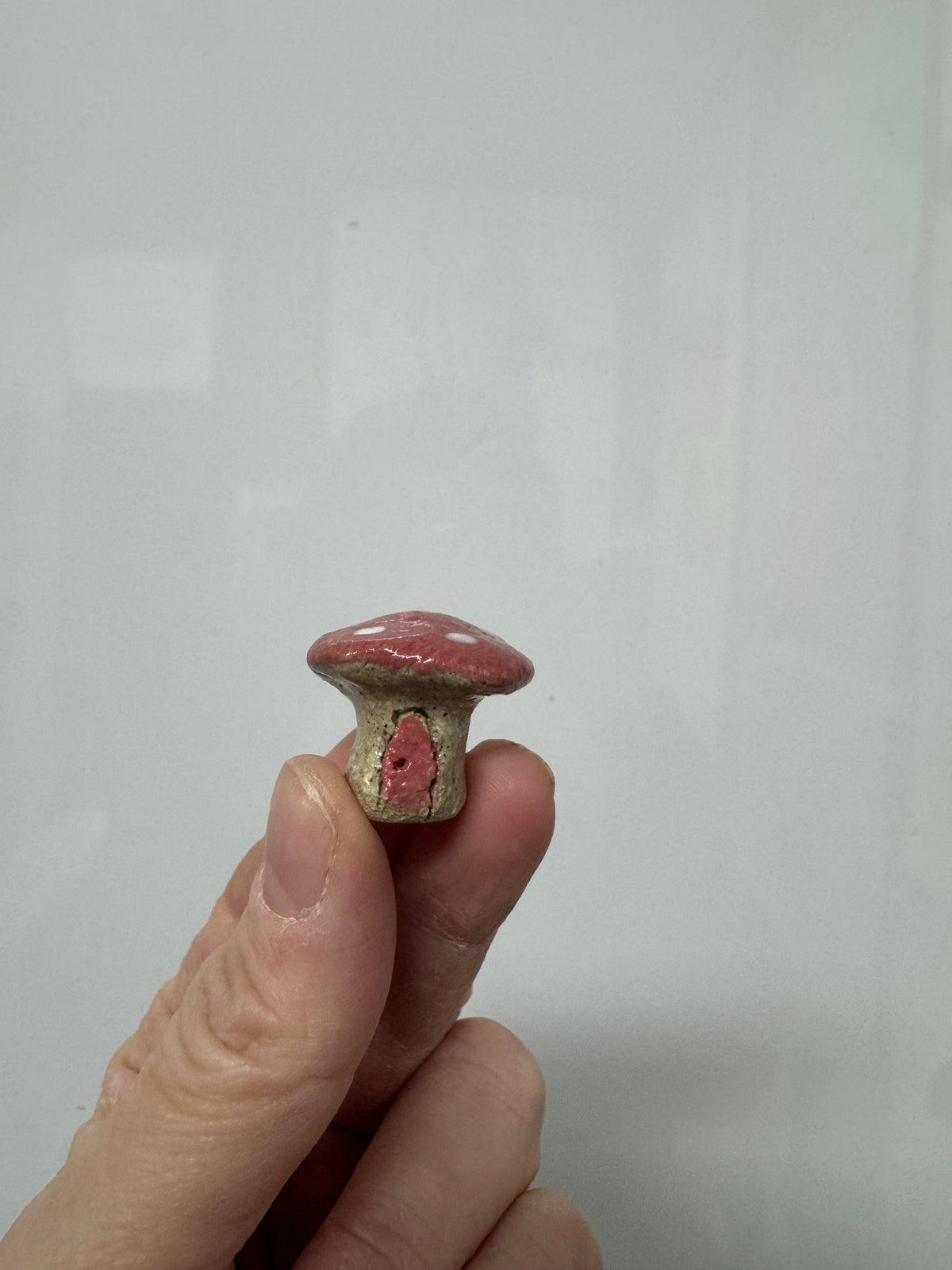 Ceramics - Mini Mushrooms – Handmade Whimsical Decor