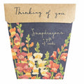 Thinking of You Gift of Seeds (Australia Only)
