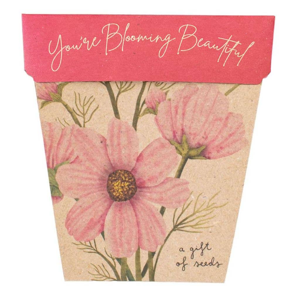 Blooming Beautiful Gift of Seeds (Australia Only)