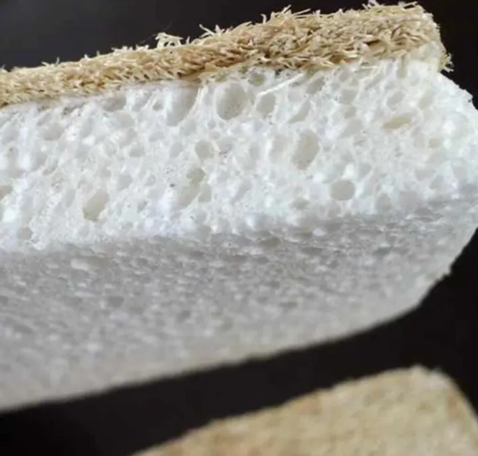 Coconut & Wood Pulp Scrubber Sponge 3 pk - Home Compostable