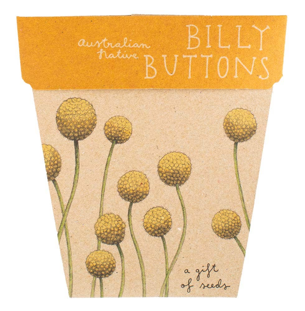 Billy Buttons Gift of Seeds (Australia Only)